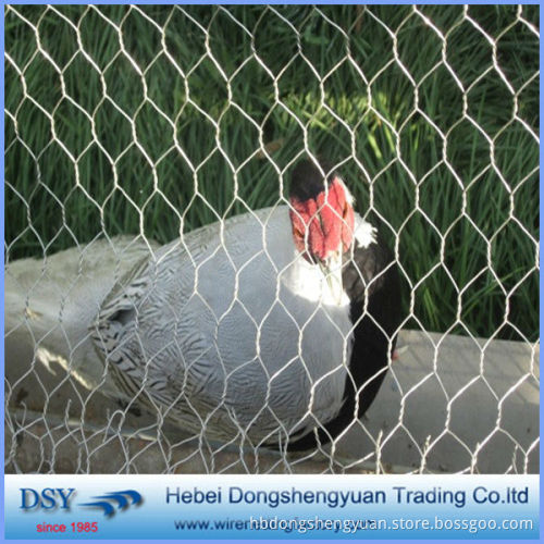 wholesale chicken wire mesh/chicken wire netting/hexagonal wire mesh